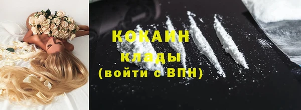 мяу мяу мука Кодинск