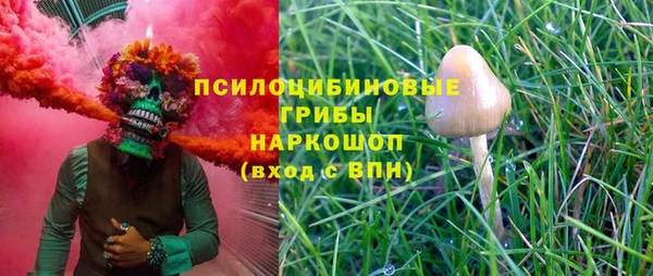 мяу мяу мука Кодинск