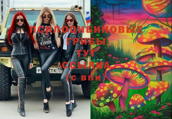 spice Козловка