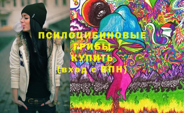 мяу мяу мука Кодинск