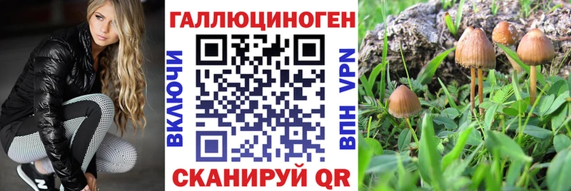 Псилоцибиновые грибы ЛСД  Купить где  Тайшет 
